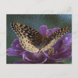 Starlight Butterfly Vykort
