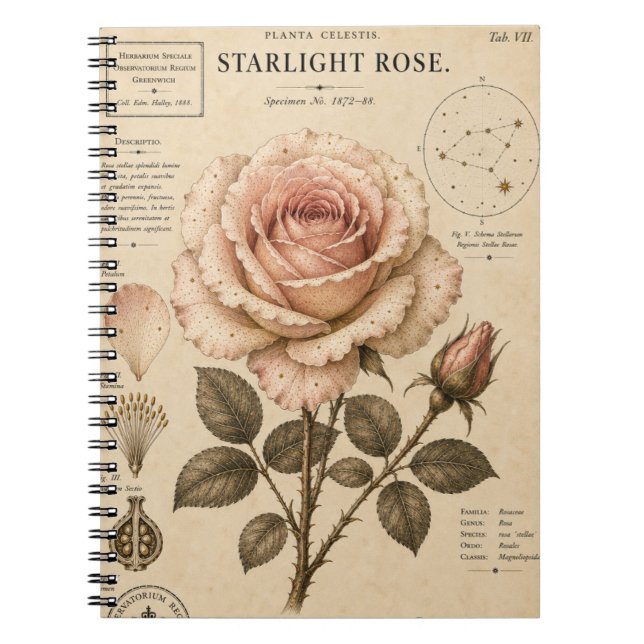 Starlight Rose Victorian Botanical Museumtryck Anteckningsbok (Framsidan)