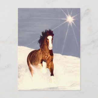 Starlight Springa Vykort