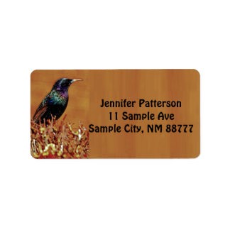 Starling Bird Returetiketters Adressetikett