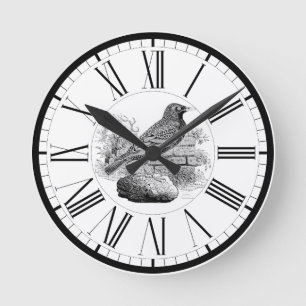 Starling British Bird Illustration Round Clock Rund Klocka