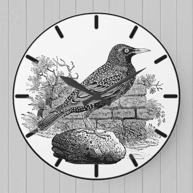 Starling British Bird Large Clock Stor Klocka (Skapare uppladdad)