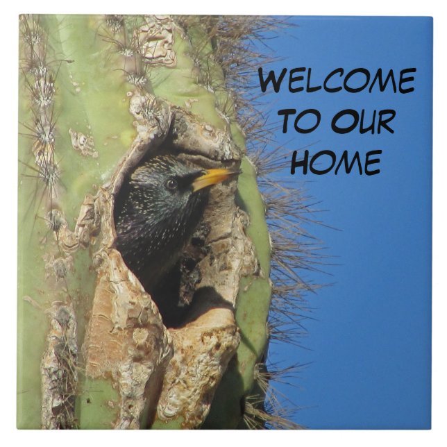 Starling i Saguaro Cactus Photo Southwest Bird Kakelplatta (Framsidan)
