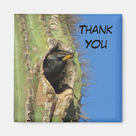 Starling i Saguaro Cactus Photo Southwest Bird Magnet