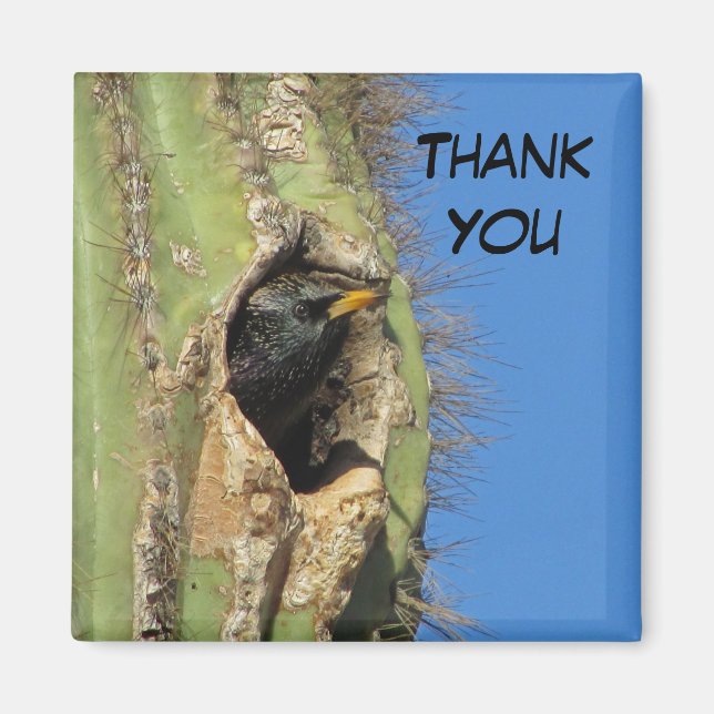 Starling i Saguaro Cactus Photo Southwest Bird Magnet (Framsidan)