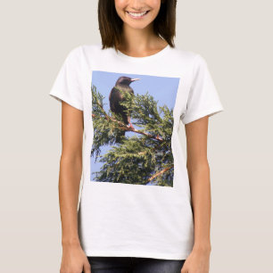 Starling i Spruce Träd Dam T Shirt
