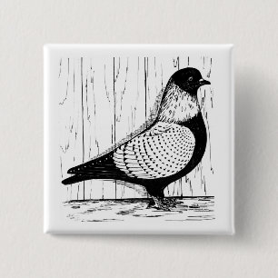 Starling Pigeon Silver-laced 1979 Knapp
