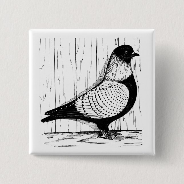 Starling Pigeon Silver-laced 1979 Knapp (Framsida)