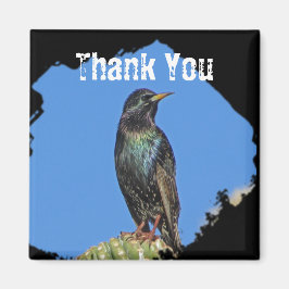 Starling Saguaro Cactus Beval Southwest Bird Magnet