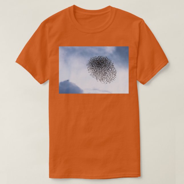 Starlings v sparrowhawk I T Shirt (Design framsida)