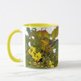 Starning Cape May Warbler Songbird on Mahonia Mugg