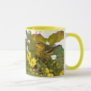 Starning Cape May Warbler Songbird on Mahonia Mugg