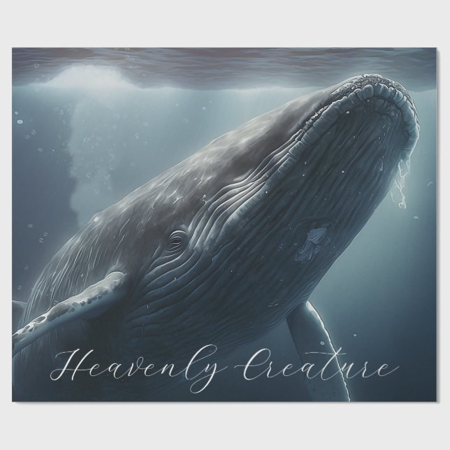Starning Humpback Whale Presentpapper (Platt)