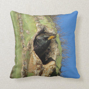 Starning i Saguaro Cactus Photo Southwest Bird Kudde