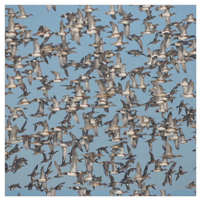 Starning Winter Anka under flygning Tyg (Provkarta)