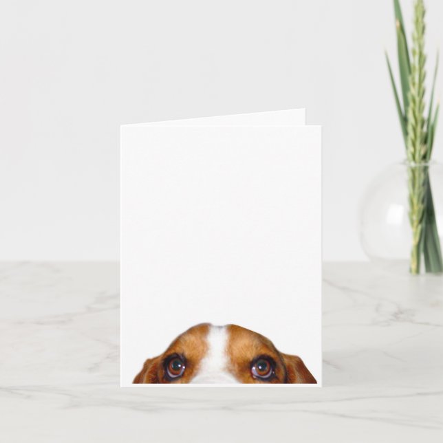Starring Holmes, den älskvärda Bassethund Kort (Framsida)