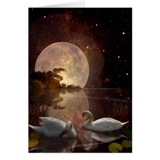 Starry flod hälsningskort (Framsidan)