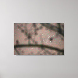 Starry Himlar genom Träd Grenar Canvastryck