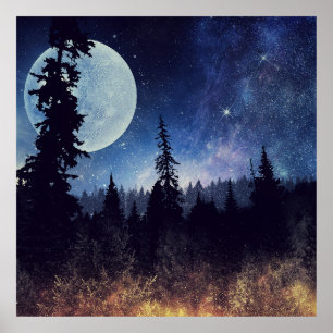 Starry Himlar och Måne ovanför en skog Poster