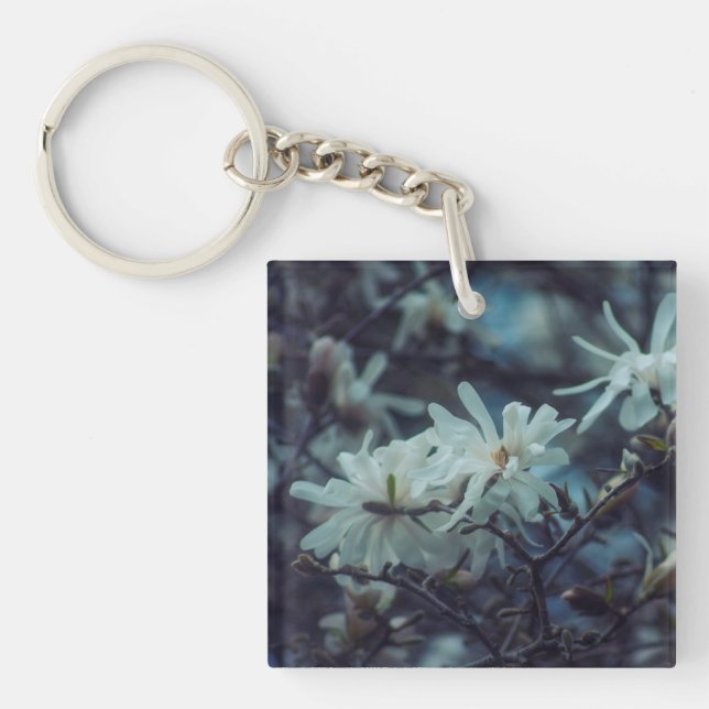 Starry Magnolia 3172 (Framsidan)