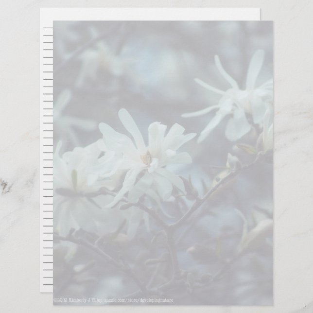 Starry Magnolia 3172 (Fram/baksida)