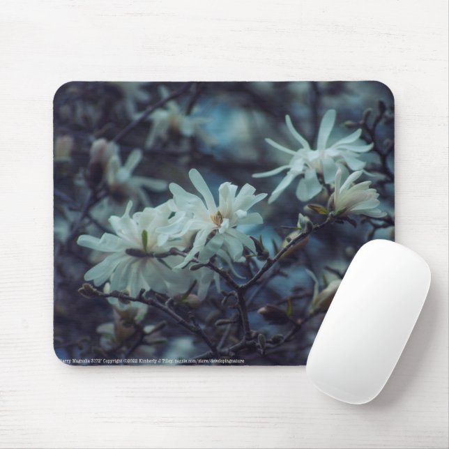 Starry Magnolia 3172 Musmatta (Med mus)