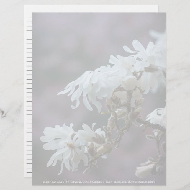 Starry Magnolia 5780 (Fram/baksida)