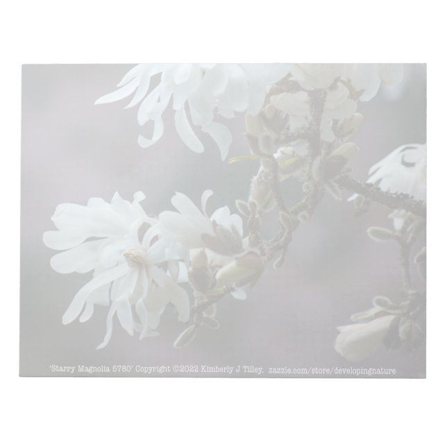 Starry Magnolia 5780 Anteckningsblock (Framsida)