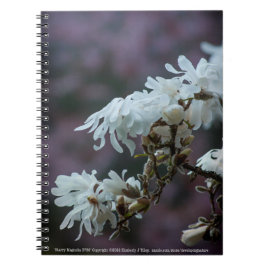 Starry Magnolia 5780 Anteckningsbok