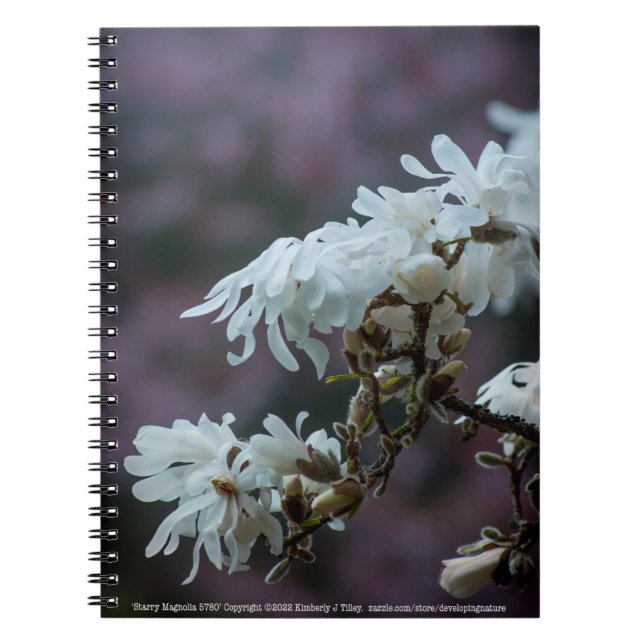 Starry Magnolia 5780 Anteckningsbok (Framsidan)
