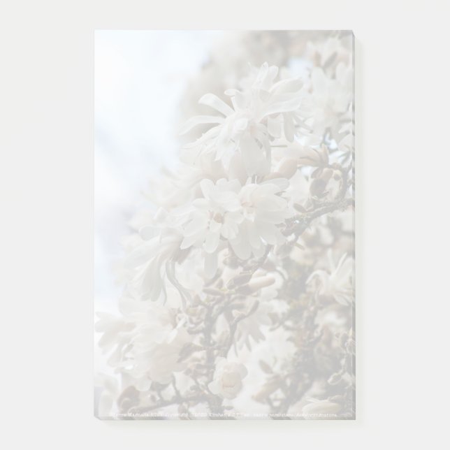 Starry Magnolia 5781 Post-it Block (Framsida)