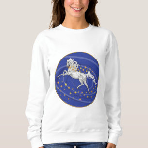 Starry Mare Women's Sweatshirt T Shirt