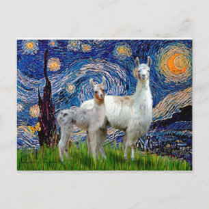 Starry Natt med två Llamas Vykort