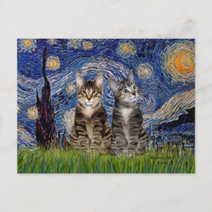 Starry Natt - två Tabby Tiger Cats Vykort