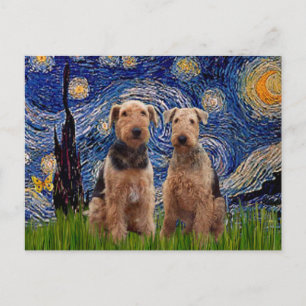 Starry Night - Airedale Terriers (2) Vykort