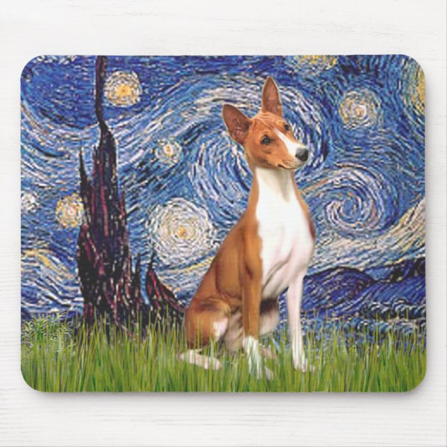 Starry Night - Basenji Musmatta (Framsidan)