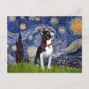 Starry Night - Boston T (2rc) Vykort