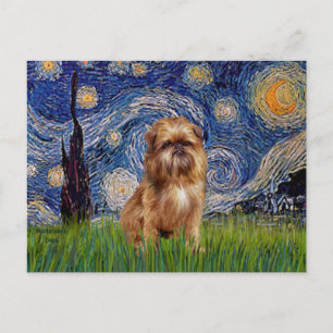 Starry Night - Brown Brussels Griffon Vykort