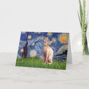 Starry Night - Cream Sphynx Cat Kort
