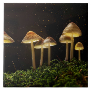 Starry Night Glowing Mushrum Kakelplatta