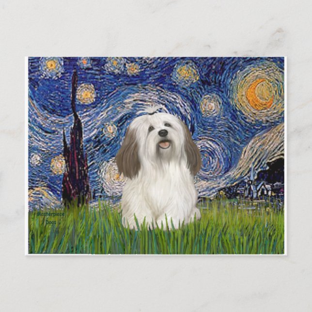 Starry Night - Havanese (#1) Vykort (Framsida)