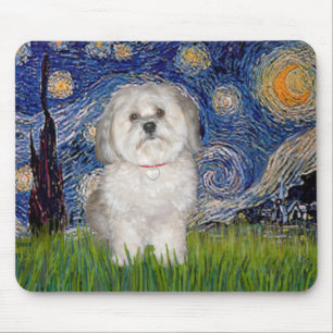 Starry Night - Havanese (F) Musmatta