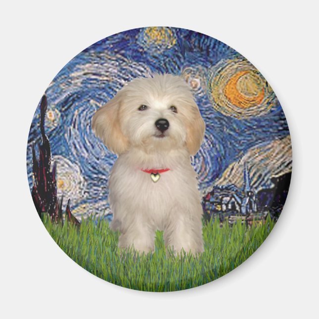 Starry Night - Havanese Puppy Magnet (Framsidan)