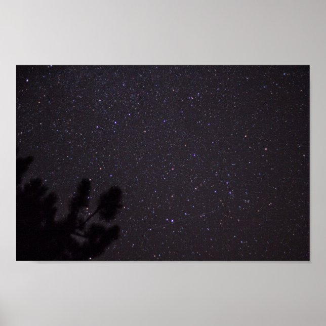 Starry Night, Michigan Poster (Framsidan)