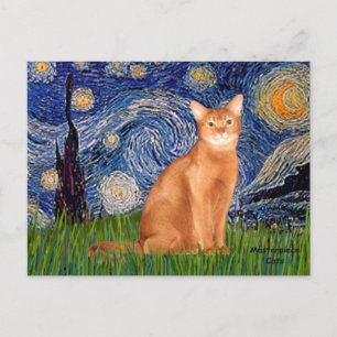 Starry Night - Red Abyssinian Vykort