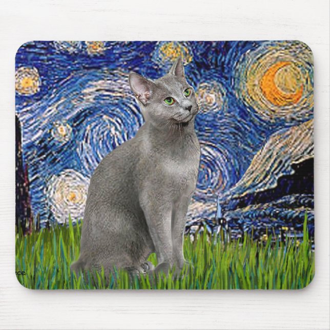 Starry Night - Russian Blue cat Musmatta (Framsidan)