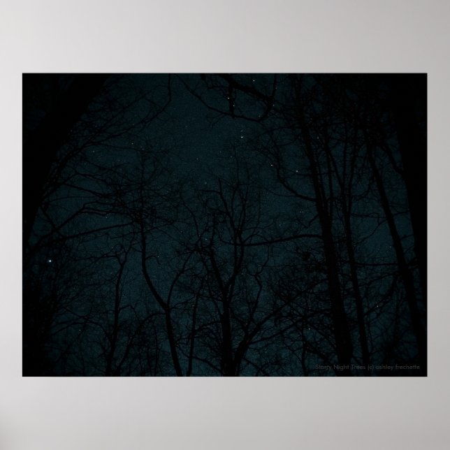 Starry Night Träd poster (Framsidan)