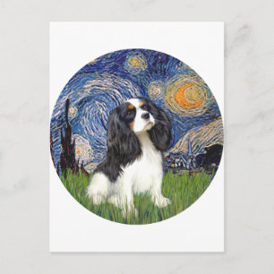 Starry Night - Tri Cavalier #5 Vykort
