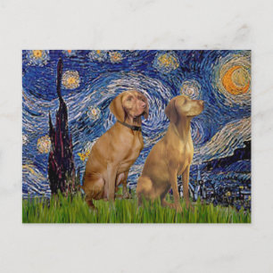 Starry Night - Two Vizslas Vykort