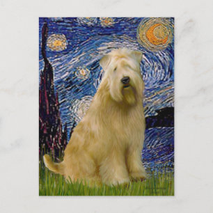 Starry Night (V) - Wheaten Terrier Vykort